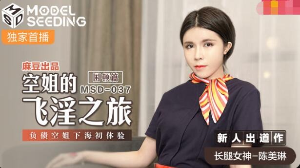 MSD-037 Flight Attendant's Flying Kinky Journey-Chen Mei Lin